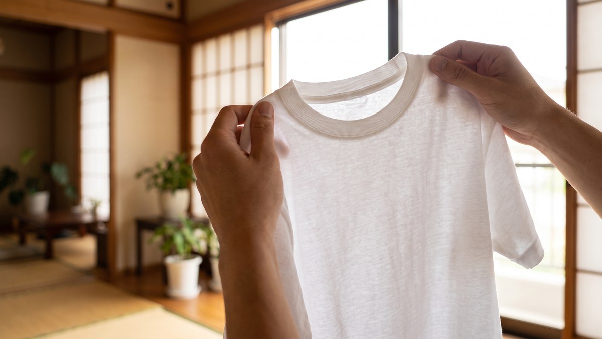 白い無地Tシャツを窓の光にかざして生地の厚さと透け具合を確かめている手元